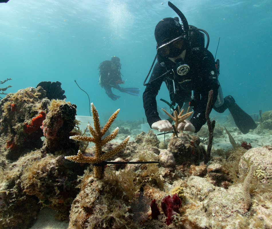 hands-on-educational